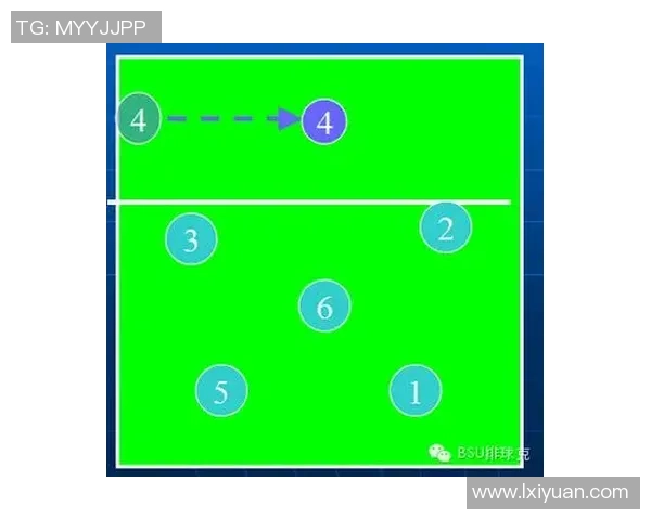 杭州排球队反击战术深度解析与实战应用探讨